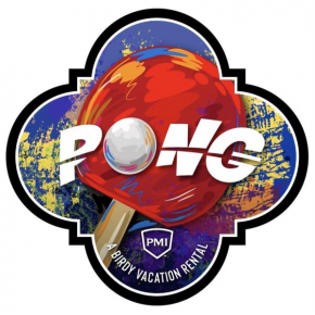 Pong - A Birdy Vacation Rental